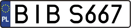 BIBS667