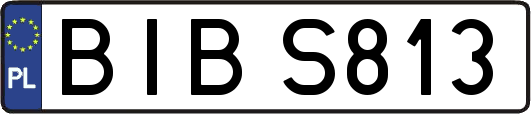 BIBS813