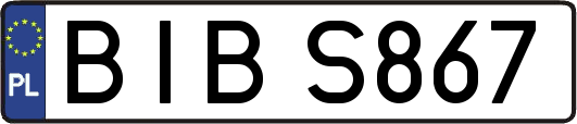 BIBS867