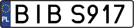 BIBS917