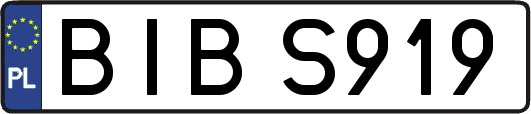 BIBS919