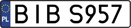 BIBS957