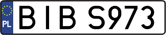 BIBS973
