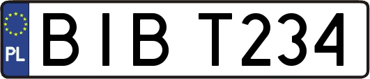 BIBT234