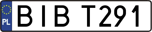 BIBT291