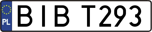 BIBT293
