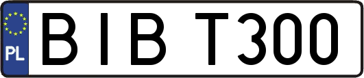 BIBT300