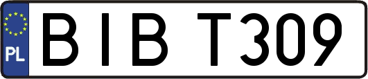 BIBT309