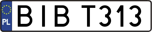 BIBT313