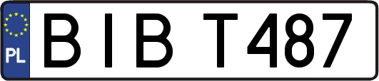 BIBT487