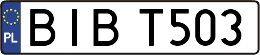 BIBT503