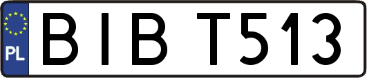 BIBT513