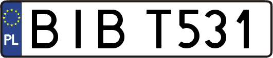 BIBT531