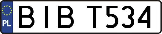 BIBT534