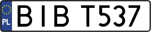 BIBT537