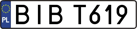 BIBT619