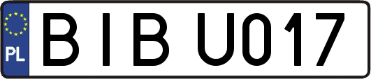 BIBU017