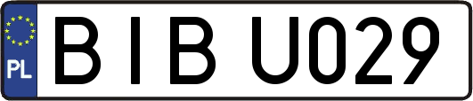 BIBU029