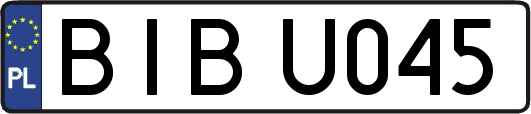 BIBU045