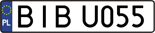 BIBU055