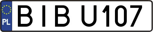 BIBU107