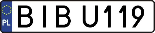 BIBU119