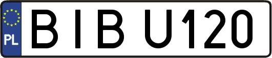 BIBU120