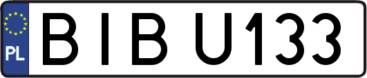 BIBU133