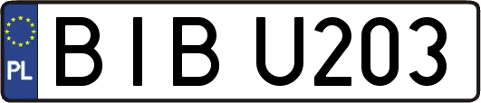 BIBU203