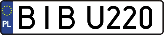 BIBU220