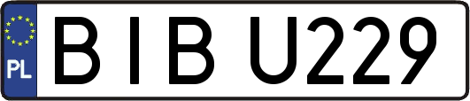 BIBU229