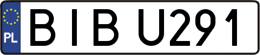 BIBU291