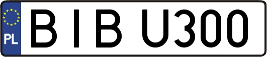 BIBU300