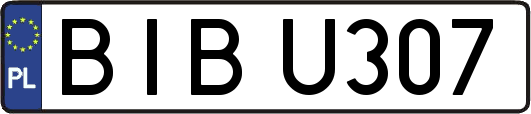 BIBU307