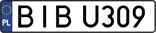 BIBU309