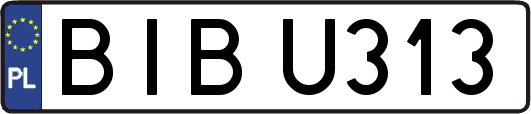 BIBU313