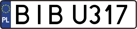 BIBU317
