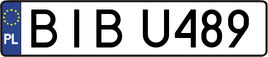 BIBU489