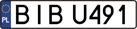 BIBU491