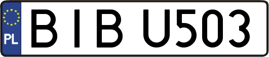 BIBU503