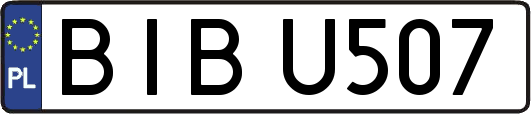 BIBU507
