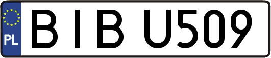BIBU509