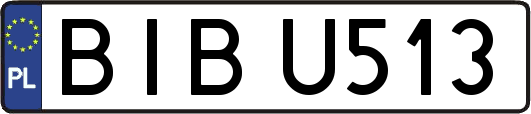BIBU513
