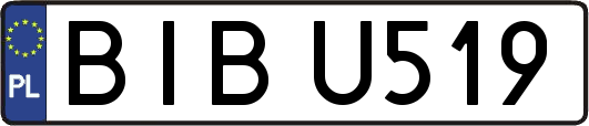 BIBU519