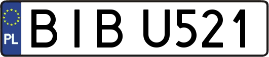 BIBU521
