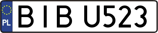 BIBU523
