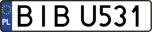 BIBU531