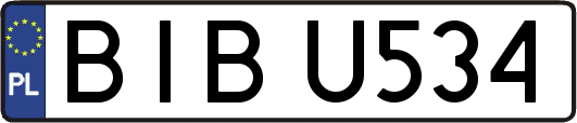 BIBU534
