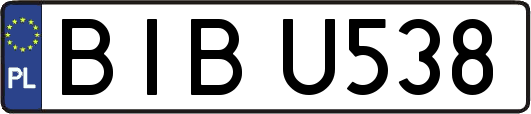 BIBU538