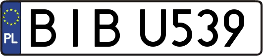 BIBU539